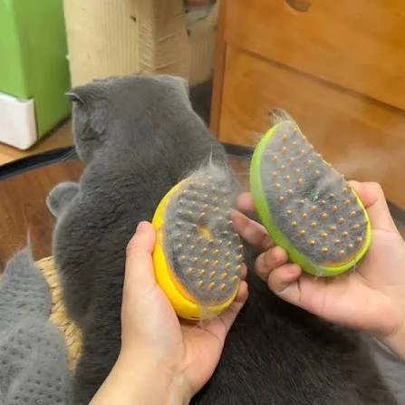 Cepillo a Vapor para Mascota
